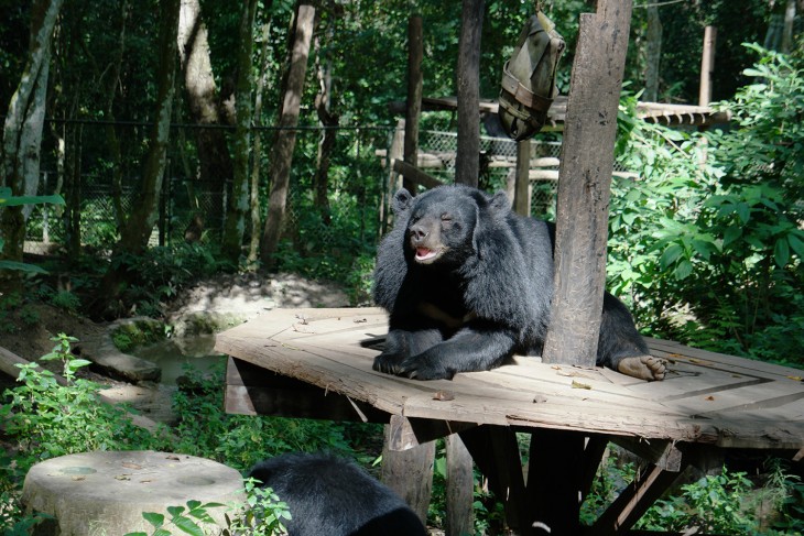 LuangPrabang_15